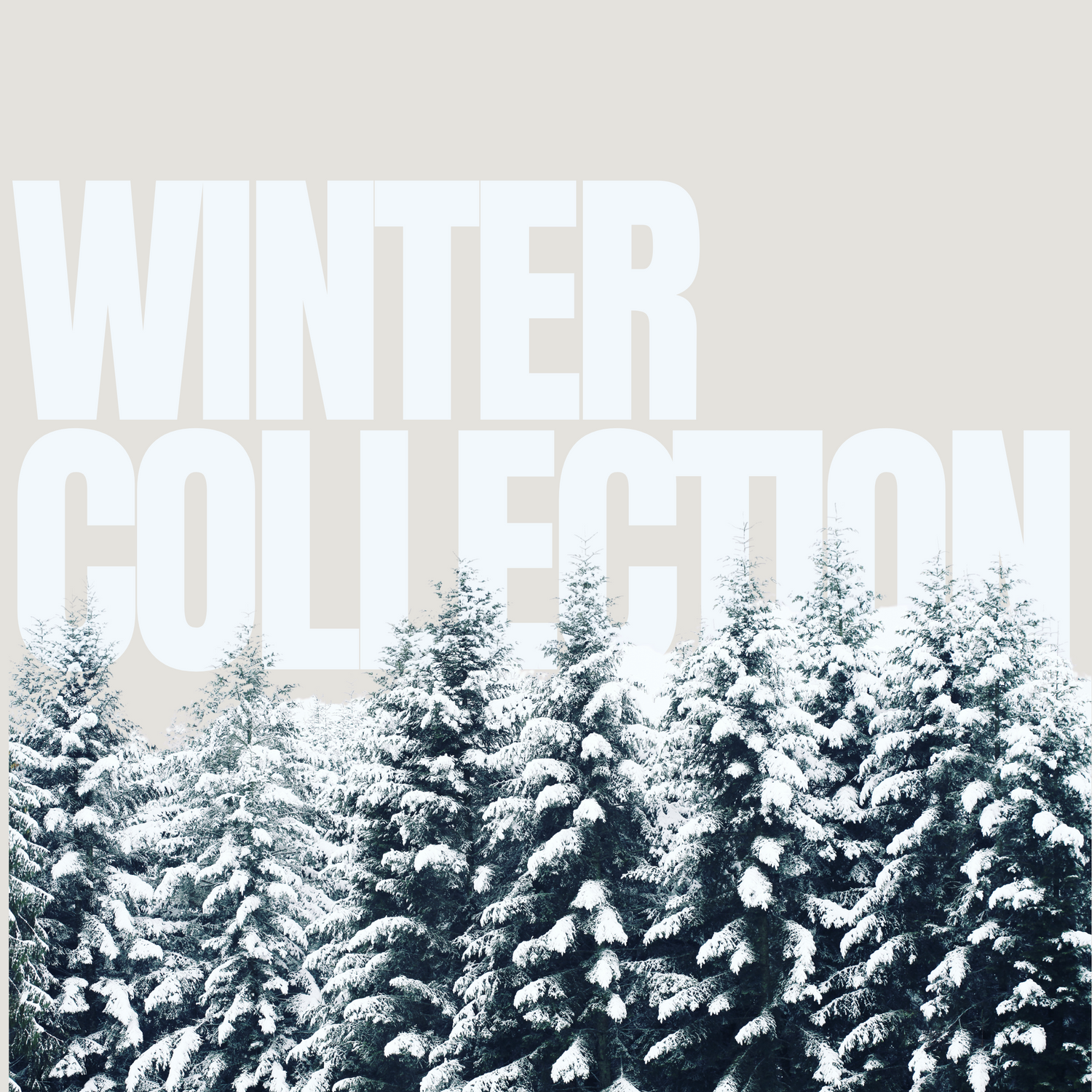 Winter Collection