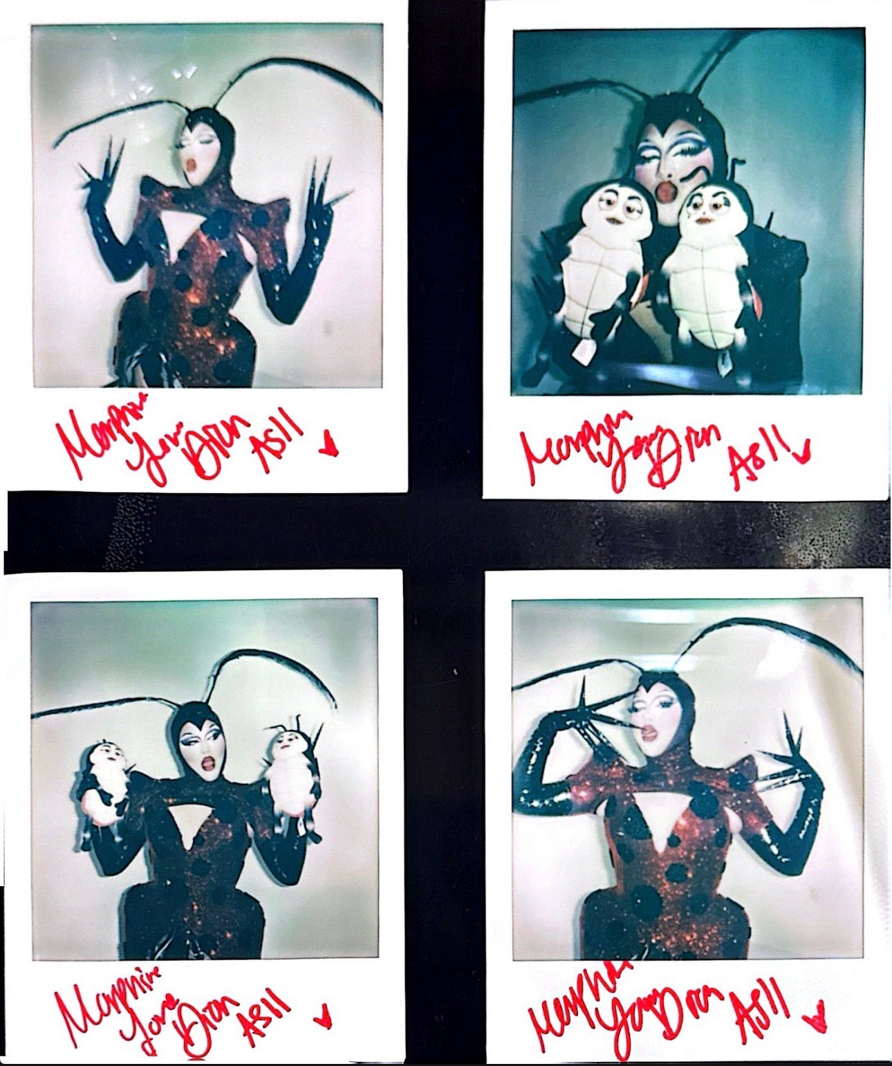 Morphine Love Dion: SIGNED Polaroid - All Stars 11