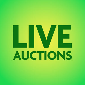 Live Auctions
